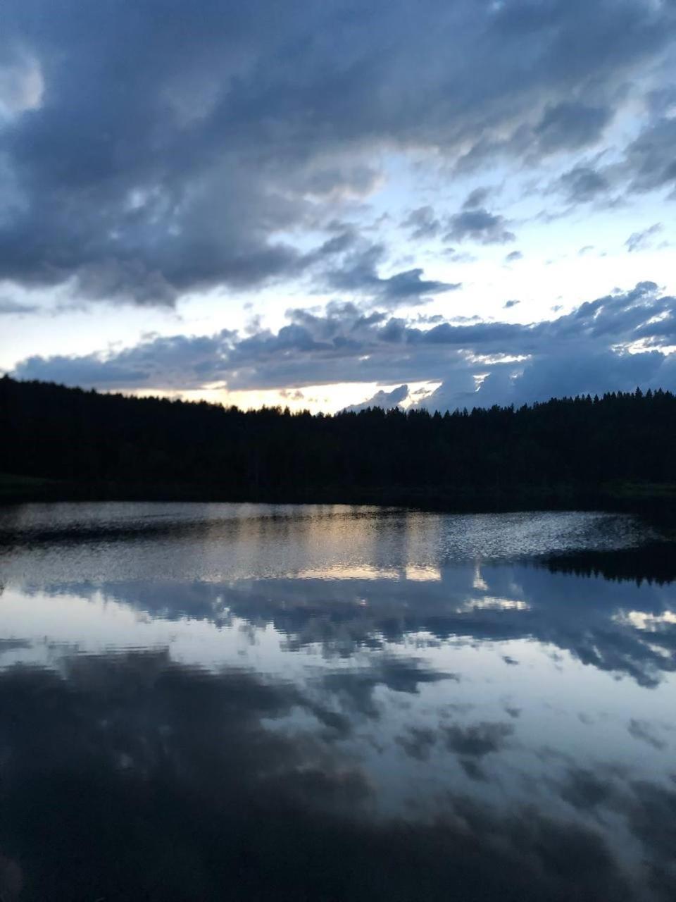 Natur- & Aktivoase Buchenberg  Exterior foto
